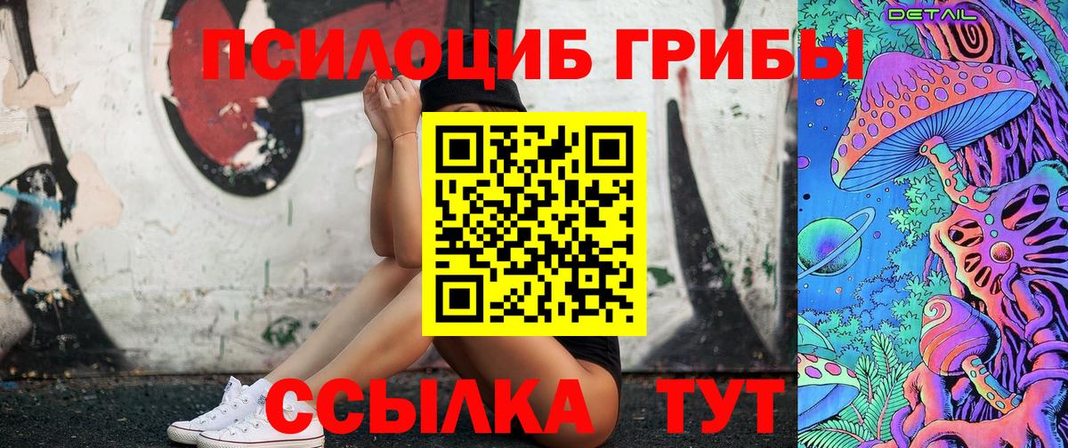 Галлюциногенные грибы мицелий  купить   Богородицк  Вход с VPN 