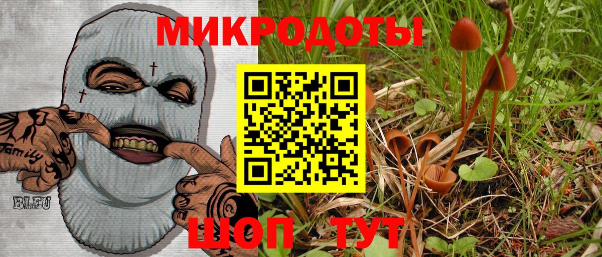 A PVP Богородицк