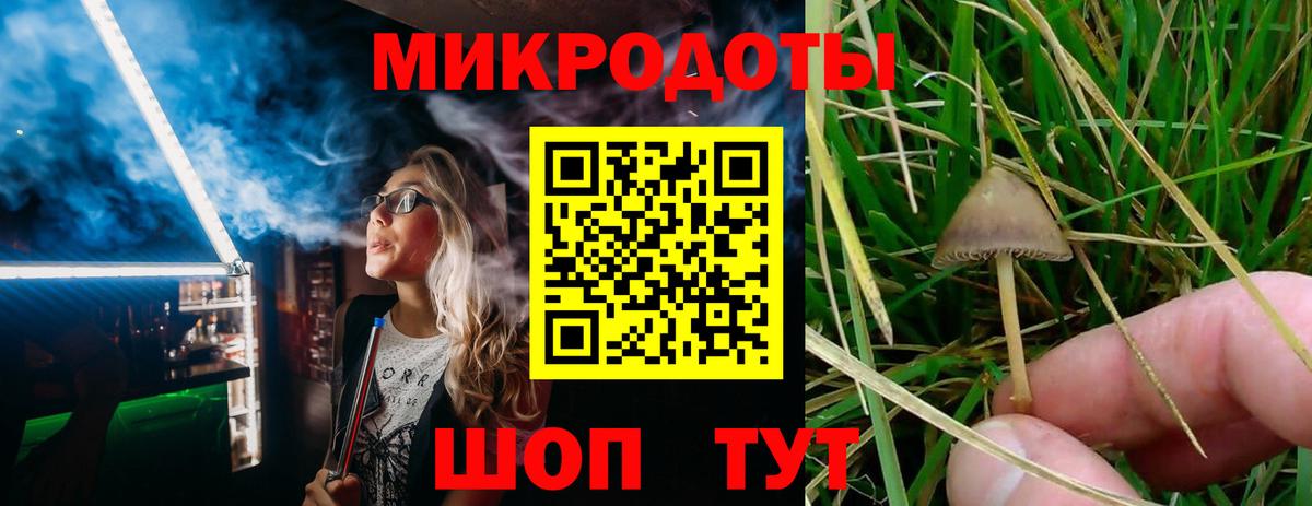 Галлюциногенные грибы MAGIC MUSHROOMS Богородицк